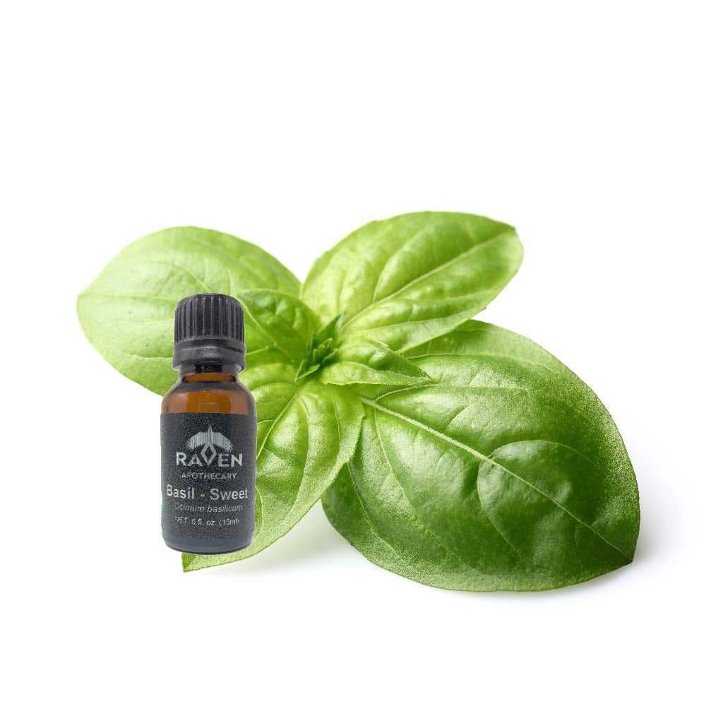 Basil Sweet Organic